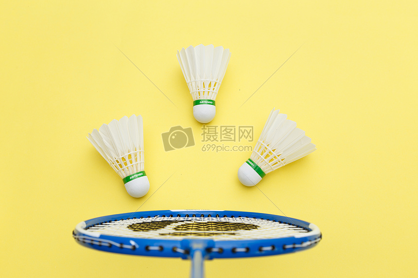 术多样性 术多样性